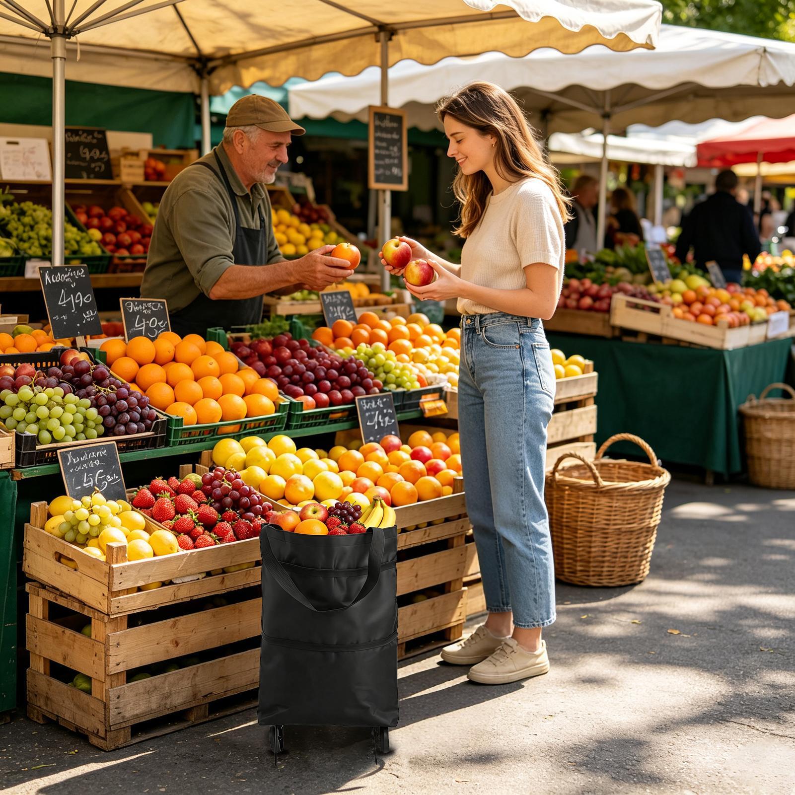 Torba na zakupy z kółkami, skł – Women Bags Farmers recenzja i cena